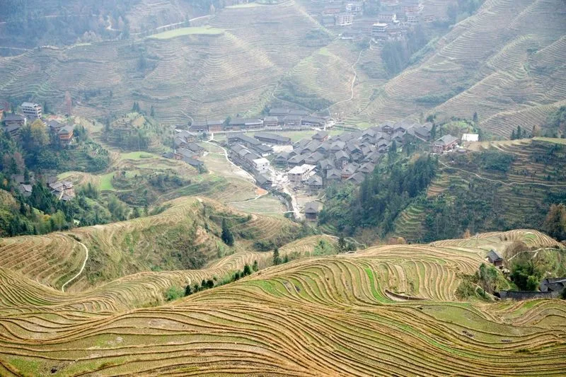 Longji Rice Terraces