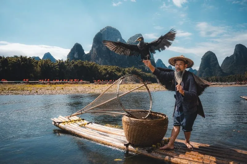 Cormorant Fishing at Dusk