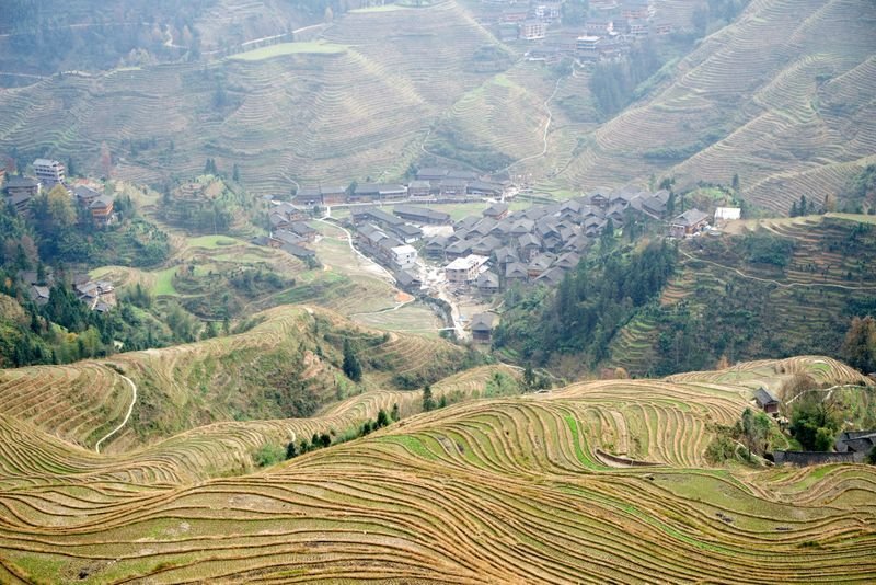 Longji Terraces Trek