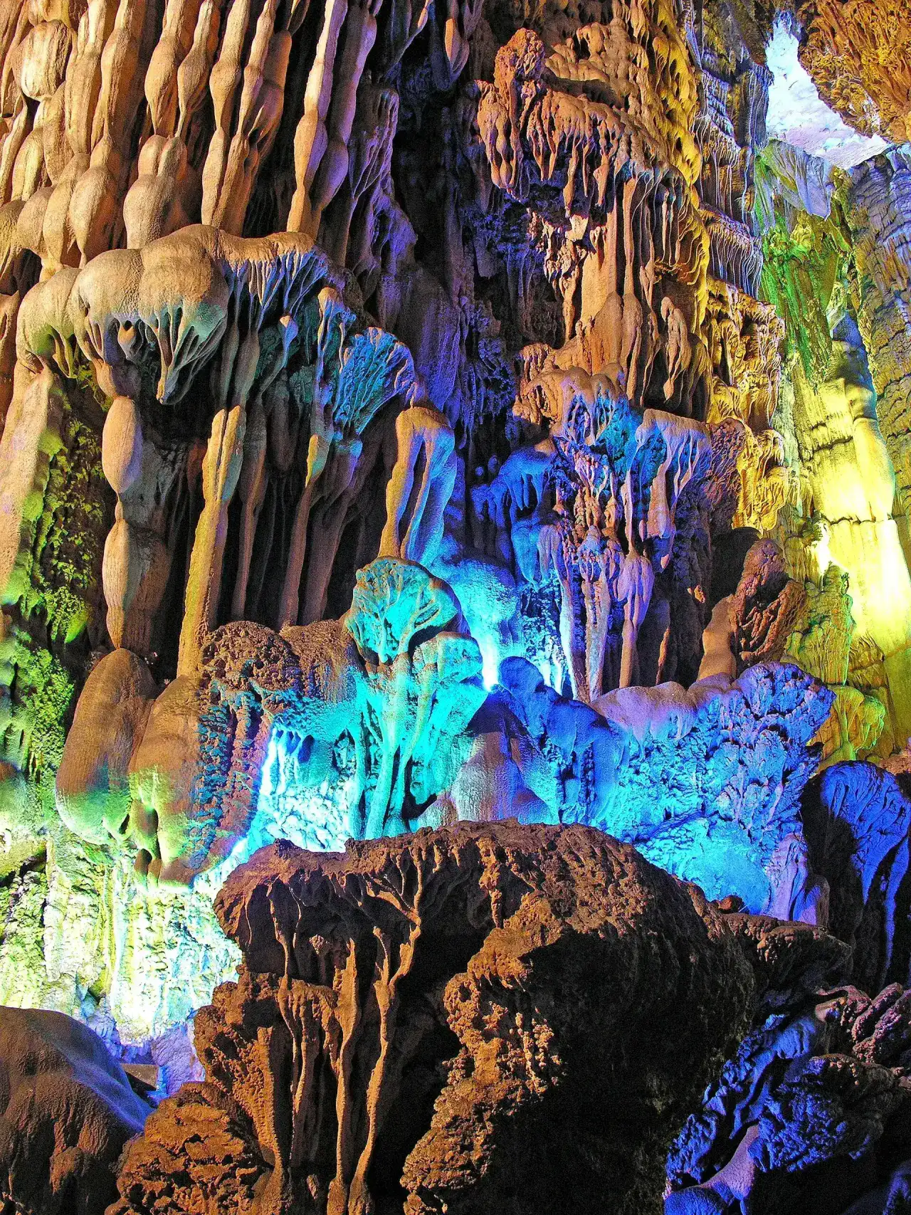 Stalactite Forest